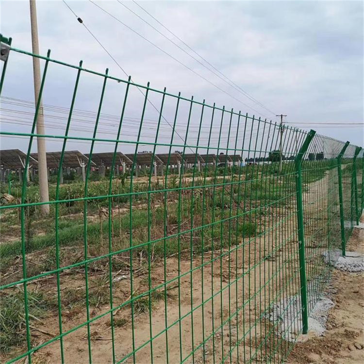  绿色铁丝网围栏图片2