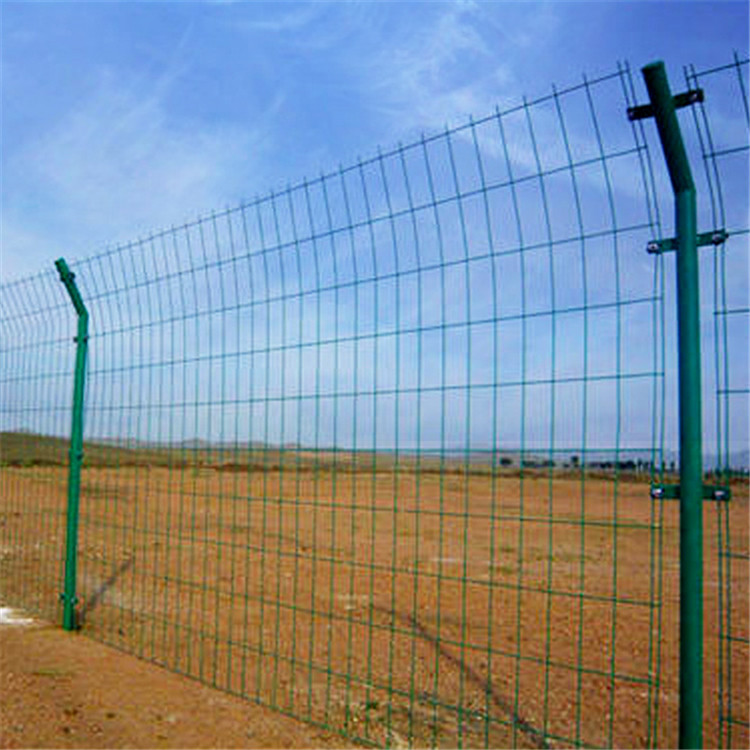 绿色铁丝网围栏图片1