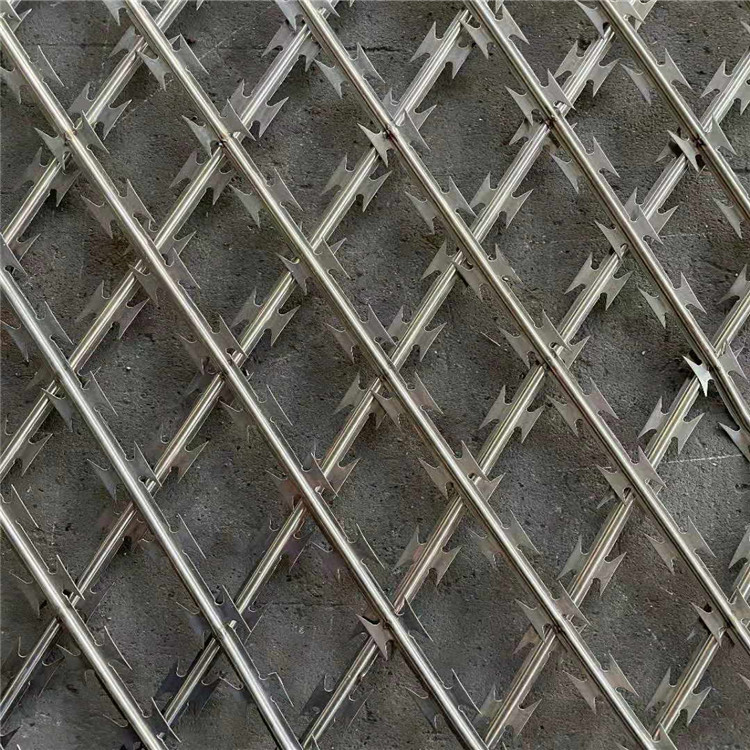 监狱围墙隔离网图片3